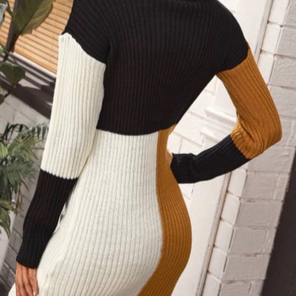 High Neck Sweater Color Block Dress - Picture 3 of 10